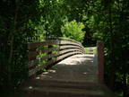 Swarm 10, View 7