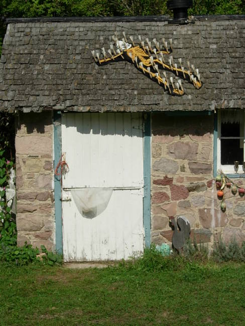 Swarm Costume, Susan's Farm 5