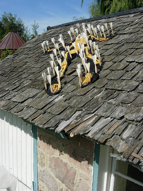 Swarm Costume, Susan's Farm 7