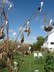 Swarm, Susan's Farm 2