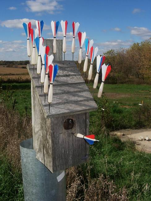 Swarm, Susan's Farm, Patriot House