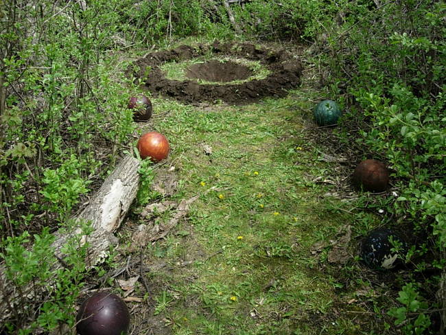 Wabe for Tesla, View 1