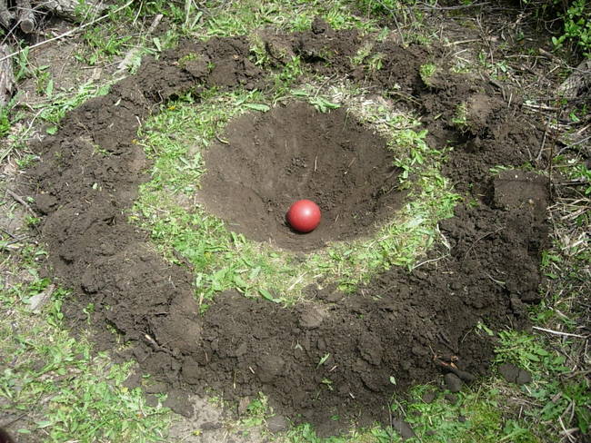 Wabe for Tesla, View 2