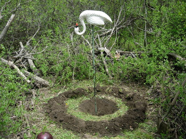 Wabe for Tesla, Variation 5