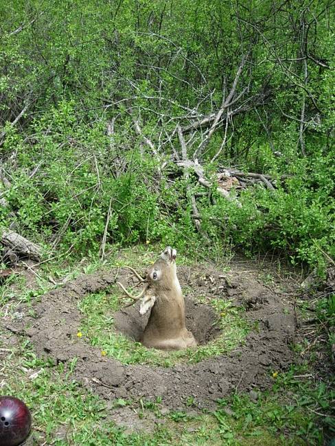 Wabe for Tesla, Variation 6, View 1