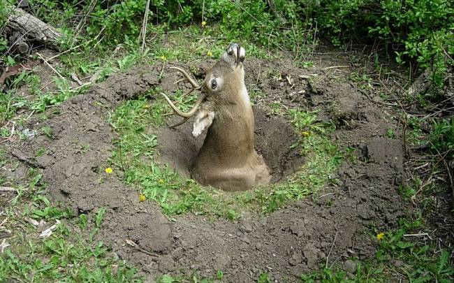 Wabe for Tesla, Variation 6, View 2