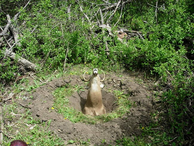 Wabe for Tesla, Variation 6, View 3