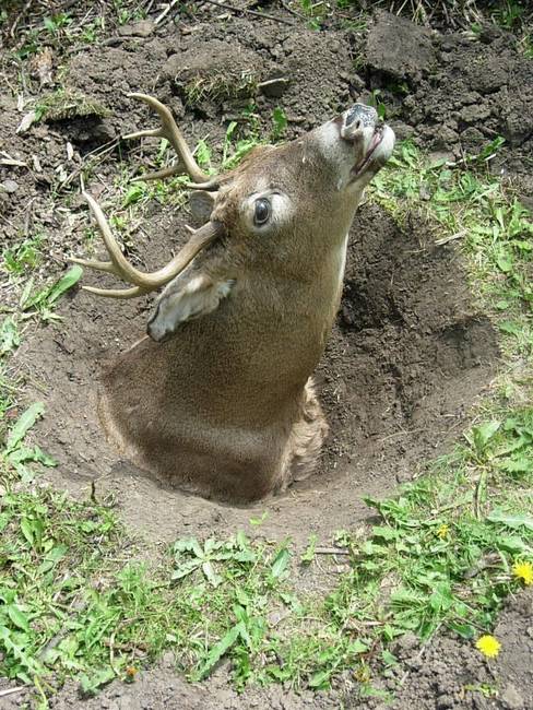 Wabe for Tesla, Variation 6, View 4