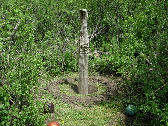 Wabe for Tesla, Variation 7