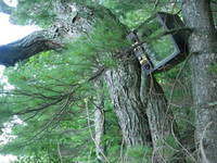 Telly, Lake Emma 10