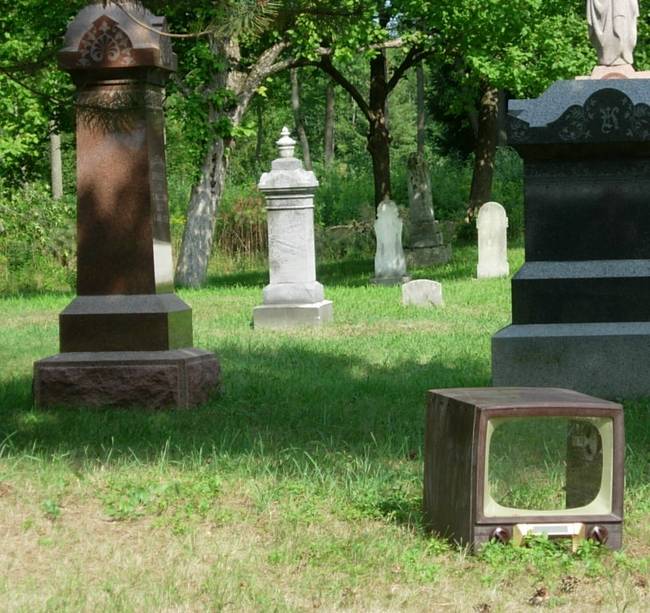 Telly in Graveyard 2
