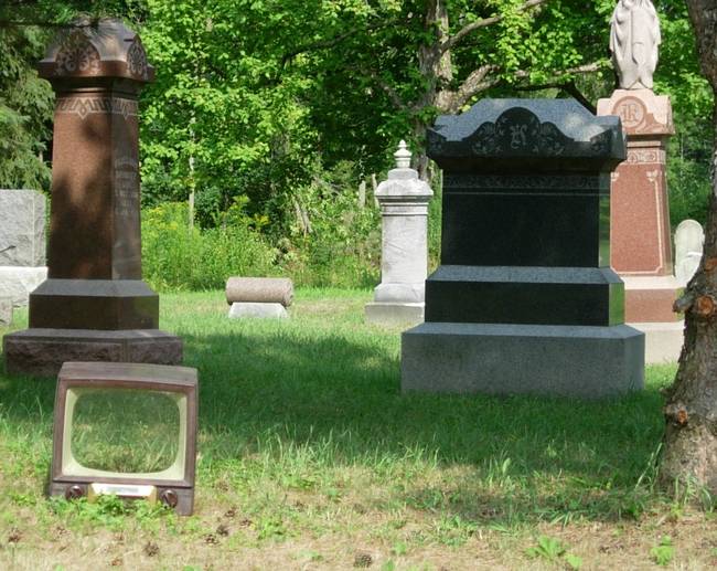 Telly in Graveyard 3