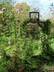 Telly, Susan's Farm 3