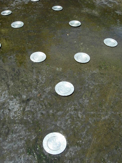 The Landing, Canal 4