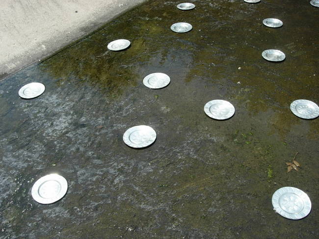 The Landing, Canal 5