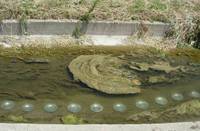The Landing, Flow 2