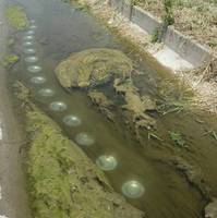 The Landing, Flow 3