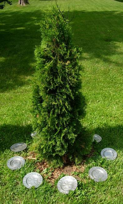 The Landing, Solo Capture, View 1