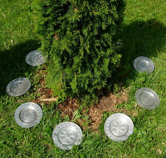 The Landing, Solo Capture, View 2