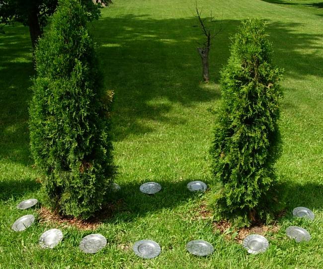 The Landing, Trapped, First View