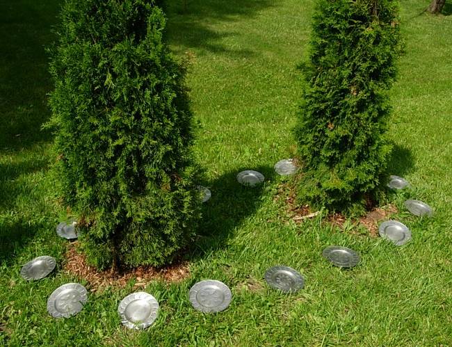 The Landing, Trapped, Second View