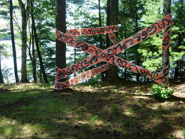 Tree Grafitti Lake Emma 1