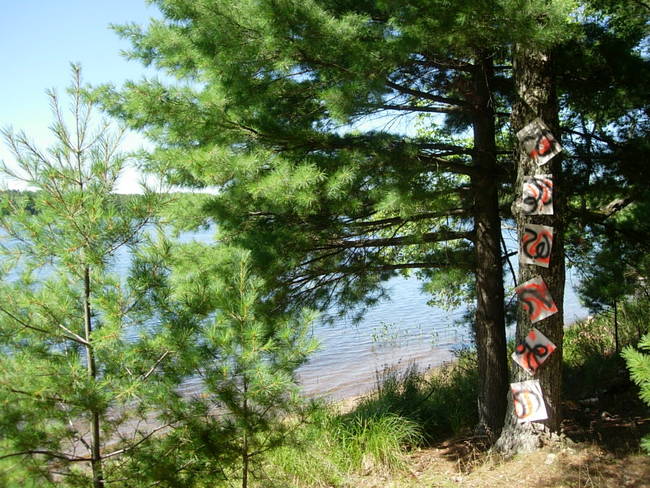 Tree Grafitti Lake Emma 10
