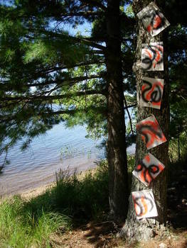 Tree Grafitti Lake Emma 11