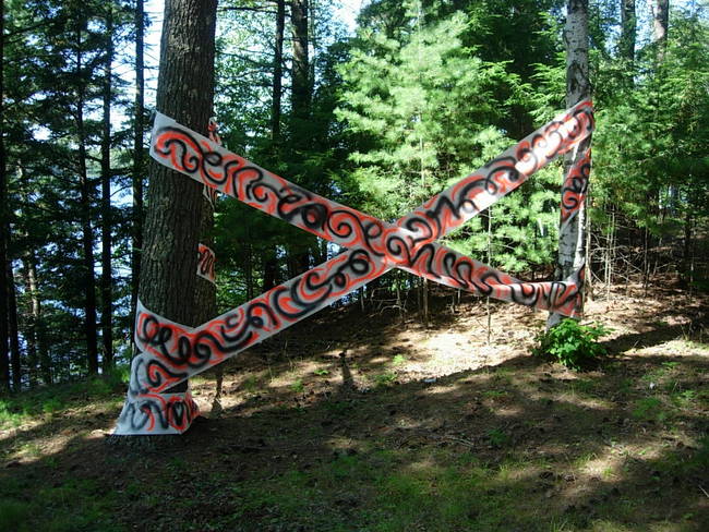 Tree Grafitti Lake Emma 2