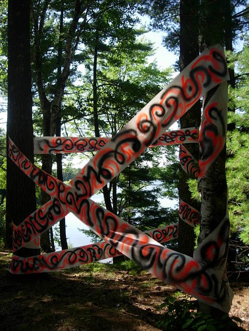 Tree Grafitti Lake Emma 5