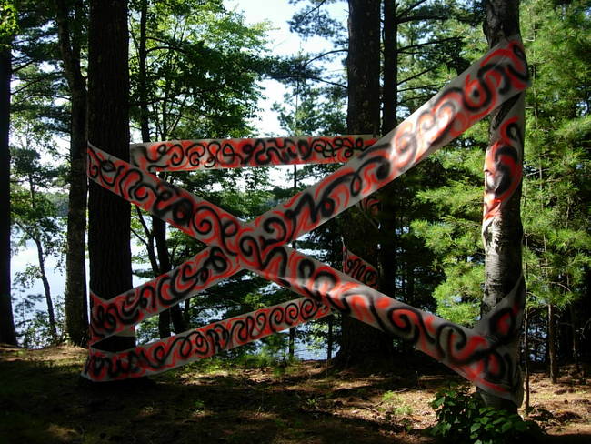 Tree Grafitti Lake Emma 6