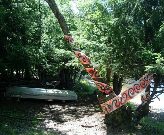 Tree Grafitti Lake Emma 7