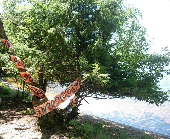 Tree Grafitti Lake Emma 8