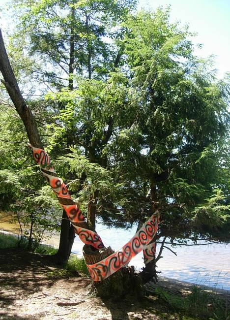 Tree Grafitti Lake Emma 9