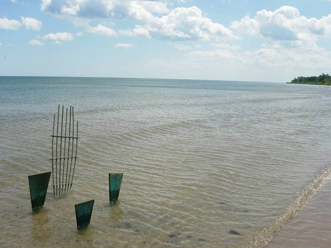 Visitation Hour Plus 5