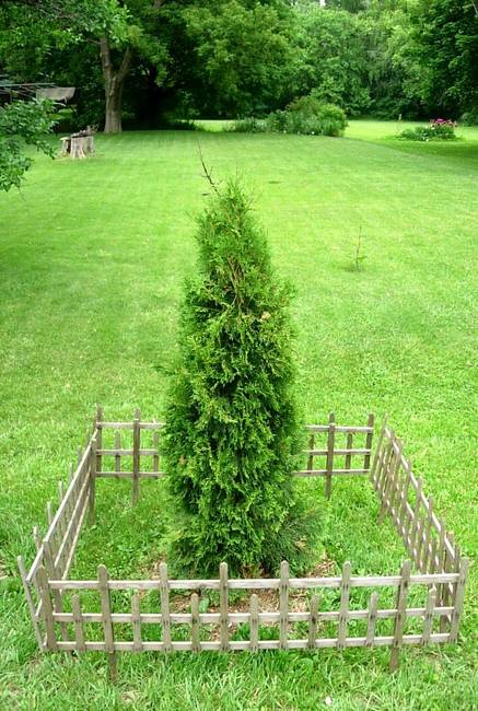 Visitation Hour, Waiting, View 1.