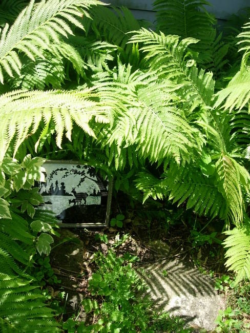 Wild Patch 1, View 1