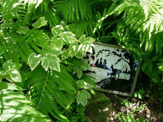 Wild Patch 1, View 2