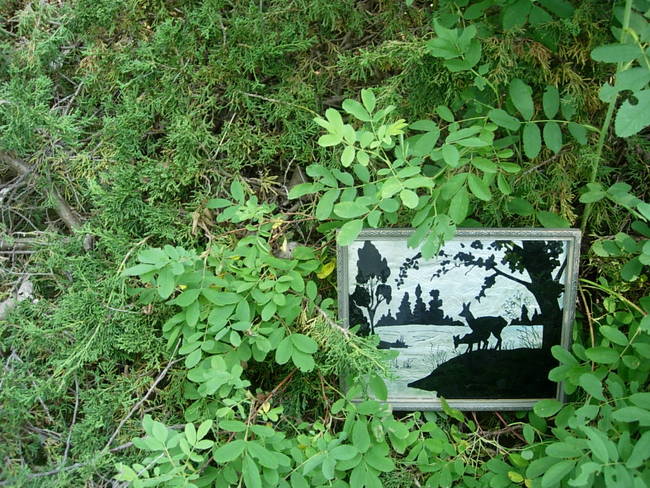 Wild Patch 2, View 1