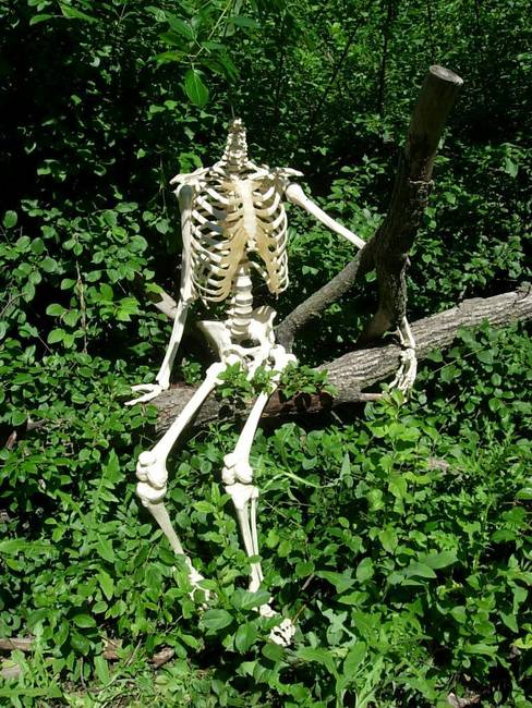 Other Such Remains 1