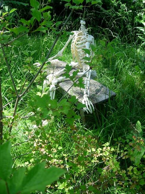 Other Such Remains 7