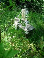 Other Such Remains 7
