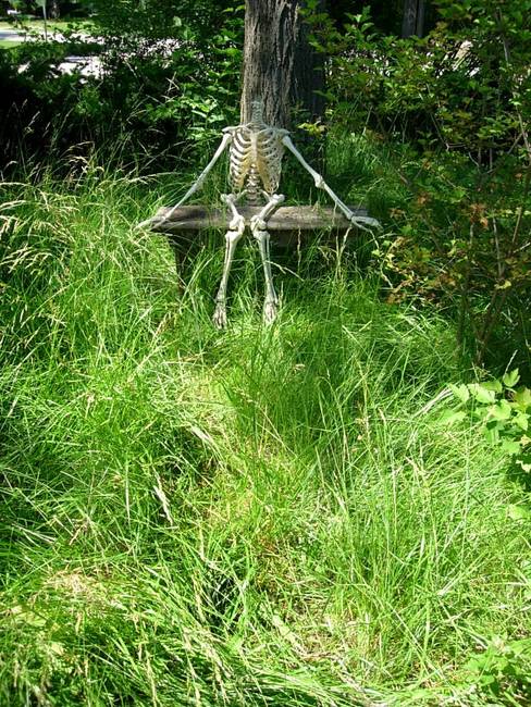 Other Such Remains 8