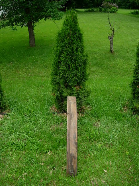 Hoops, Variation 2, View 4