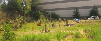 Disinterment, 2 acre site specific installation