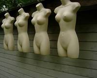 Nymphs View 2