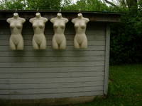 Nymphs, View 1