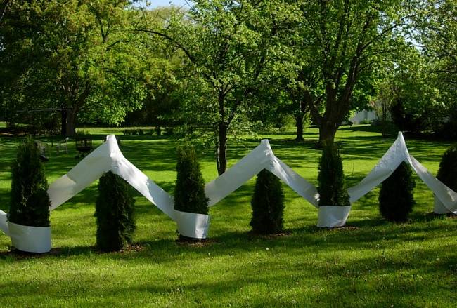 Tree Graffiti, White, View 1