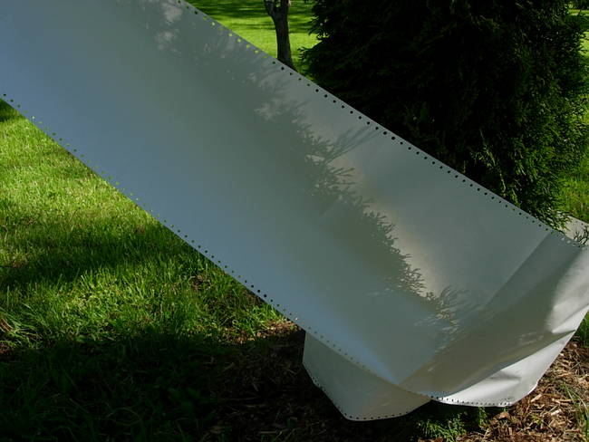 Tree Graffiti, White, View 3