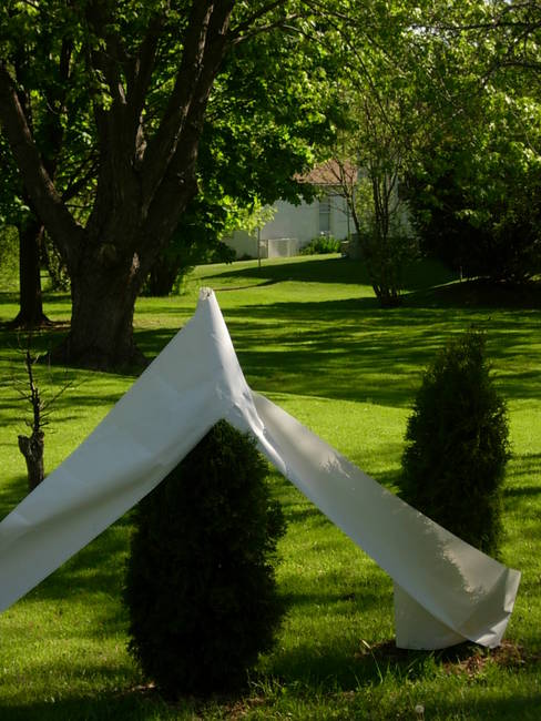 Tree Graffiti, White, View 2